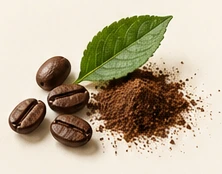Coffee beans, powder and a green leaf.