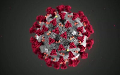 Coronavirus Versus the Flu…People Are Overreacting, Right? Wrong — Here’s Why.