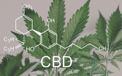 Innovating the Next Generation of CBD Products