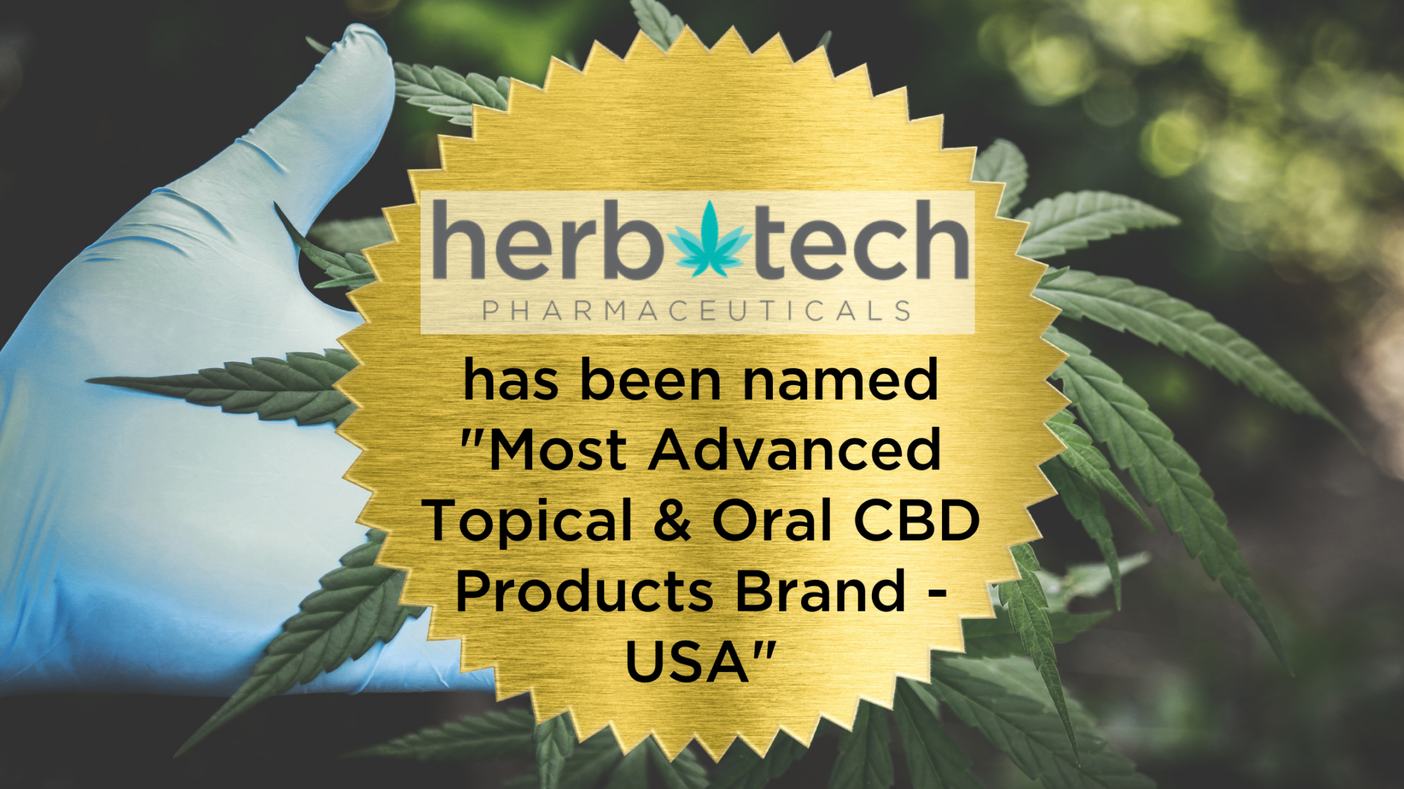 commercial cannabis awards 2020