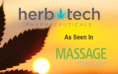 7 THINGS YOU SHOULD LOOK FOR IN A CBD MASSAGE PRODUCT
